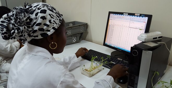 A researcher takes part in the G.O.A.L workshop. Photo: Crop Trust