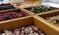 Bean varieties in wooden boxes at CIAT genebank