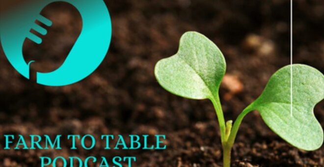Podcast promotional banner