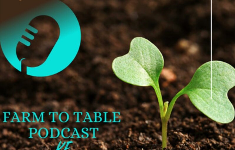 Podcast promotional banner