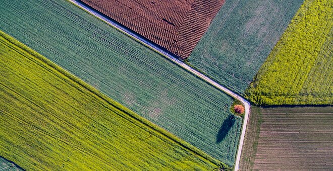 Crop Trust '21 Fellowship Awarded