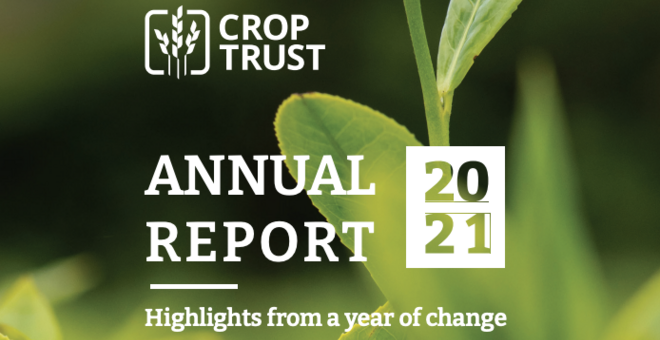 2021 Annual Report & Financial Statement