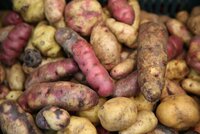 Potato diversity 