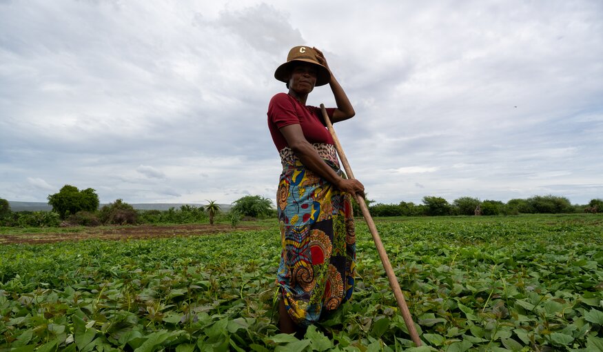 Darwin Initiative: Celebrating Sweet(potato) Success