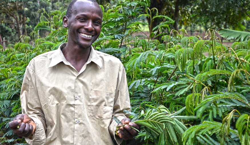 David Kenduywo at his farm in Kembu, Bomet County, Kenya. He grows Calliandra for his dairy cattle. Photo: Sherry Odeyo/ICRAF