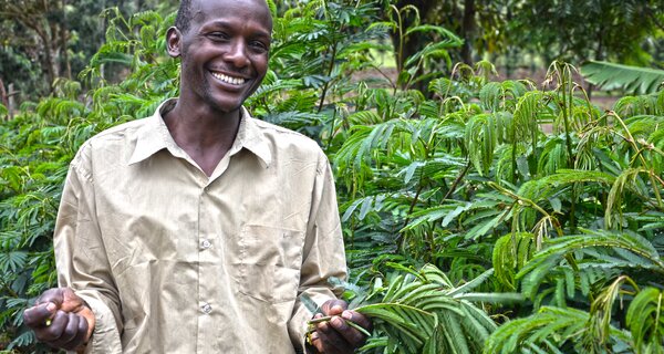 David Kenduywo at his farm in Kembu, Bomet County, Kenya. He grows Calliandra for his dairy cattle. Photo: Sherry Odeyo/ICRAF