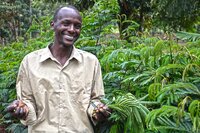 David Kenduywo at his farm in Kembu, Bomet County, Kenya. He grows Calliandra for his dairy cattle. Photo: Sherry Odeyo/ICRAF