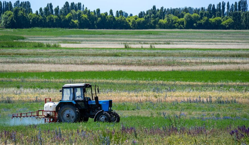 Crawford Fund Annual Conference 2026