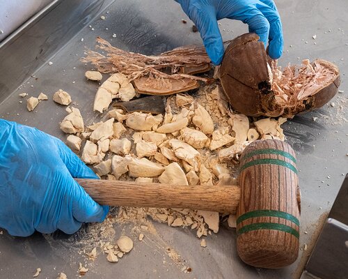 Baobab