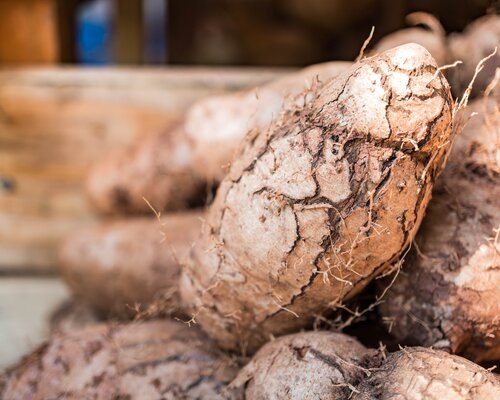 Minor yams