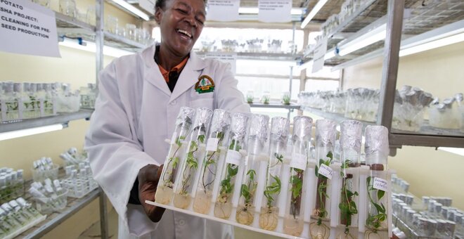 Woman holding rack of test tubes.