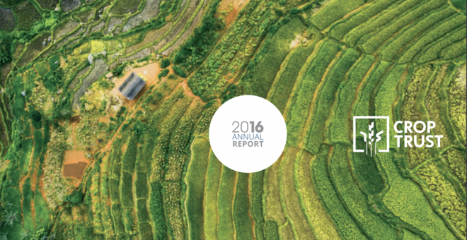 2016 annual report cover