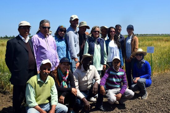 The Durum Wheat team in Marchouch, Morocco. Photo credit: Filippo M Bassi