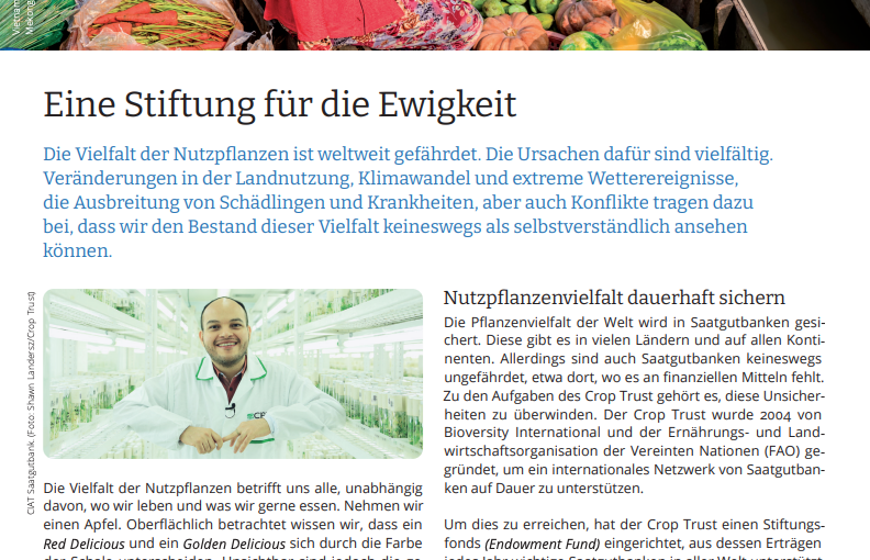 Eine Stiftung für die Ewigkeit