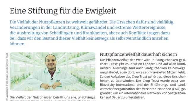 Eine Stiftung für die Ewigkeit