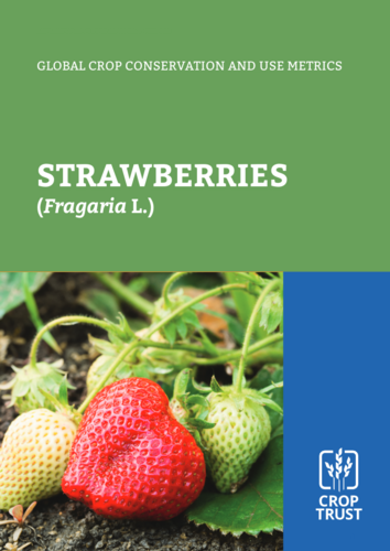 Global Crop Conservation and Use Metrics: Strawberry