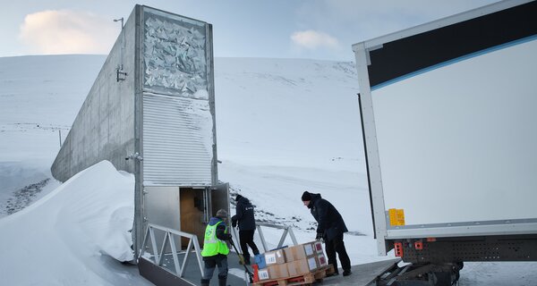Ghana Genebank Becomes 100th Depositor to Safeguard Food Crops in the Seed Vault