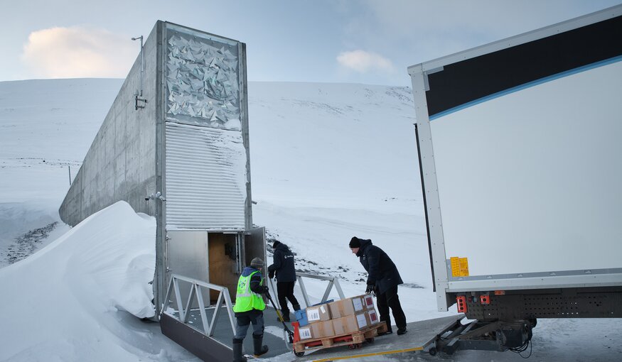 Ghana Genebank Becomes 100th Depositor to Safeguard Food Crops in the Seed Vault