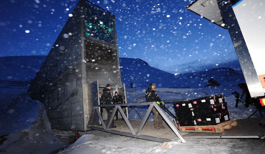 New seeds are being deposited at the Svalbard Global Seed Vault.