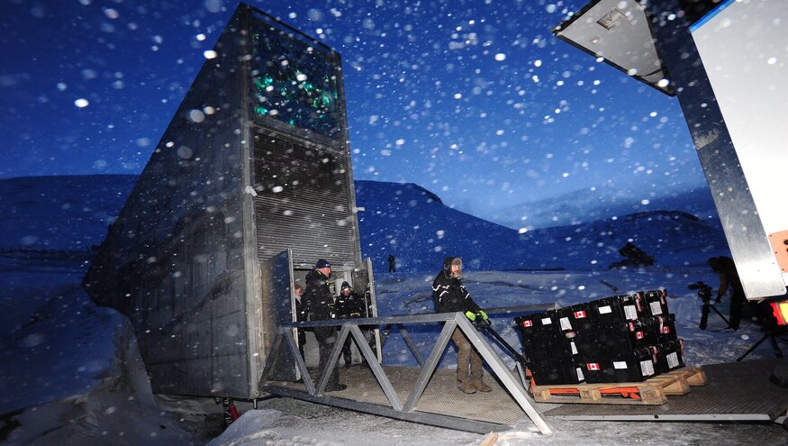 Seeds being deposited at the Svalbard Global Seed Vault.