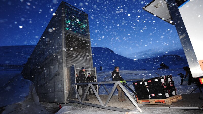 New seeds are being deposited at the Svalbard Global Seed Vault.