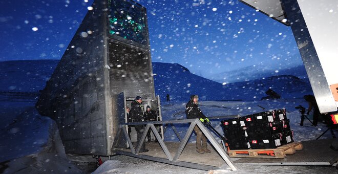 New seeds are being deposited at the Svalbard Global Seed Vault.