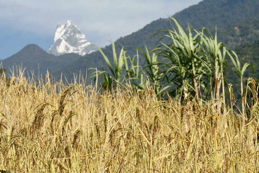 Nepal