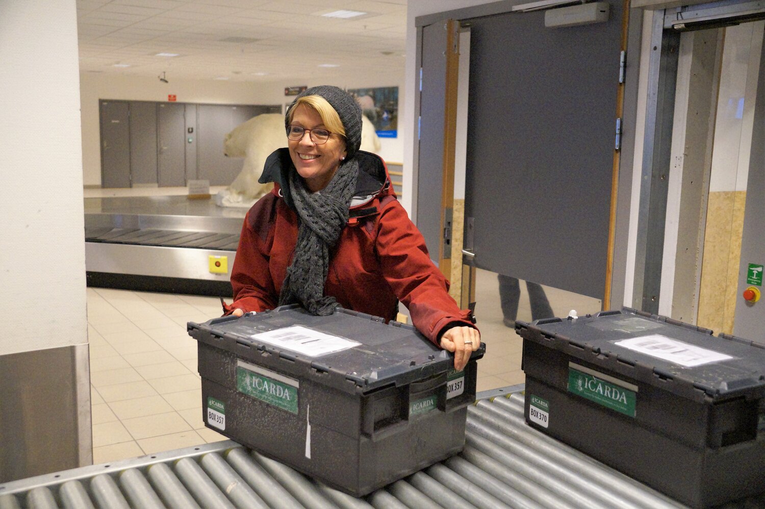 Marie Haga, Crop Trust Executive Director scans boxes of ICARDA's seeds at the Longyearbyen airport, returning to Svalbard after being retrieved from the vault in 2015. Photo: Andrea Gros, ICARDA