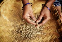 Pearl millet in a basket.