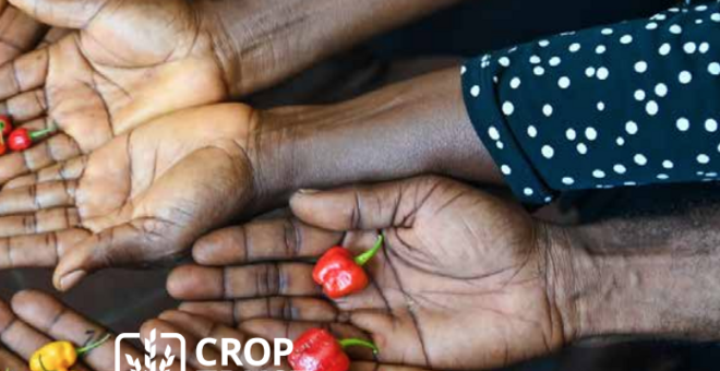 2022 Annual Report & Financial Statement