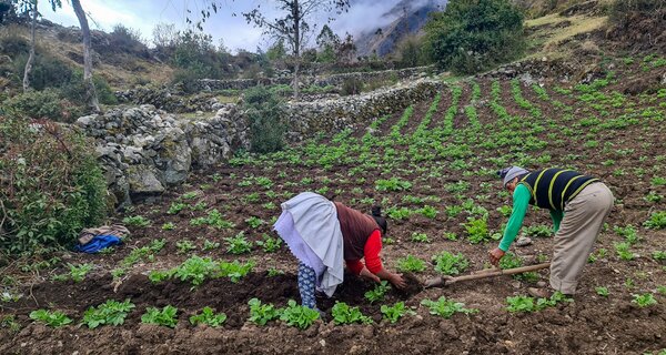 Aguapan farmers