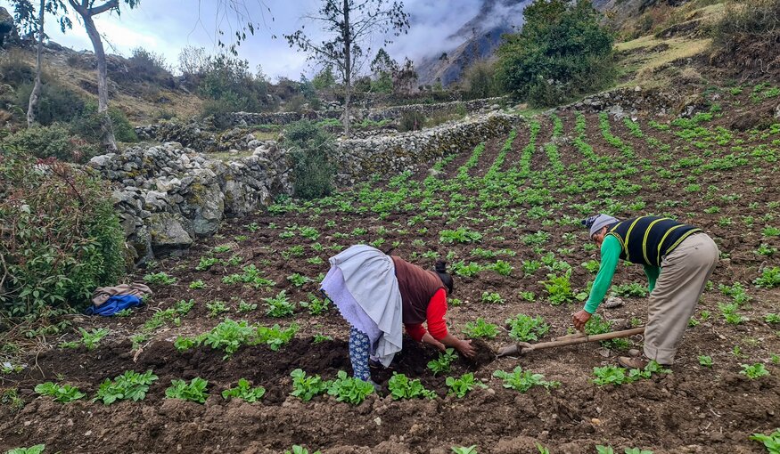 Aguapan farmers