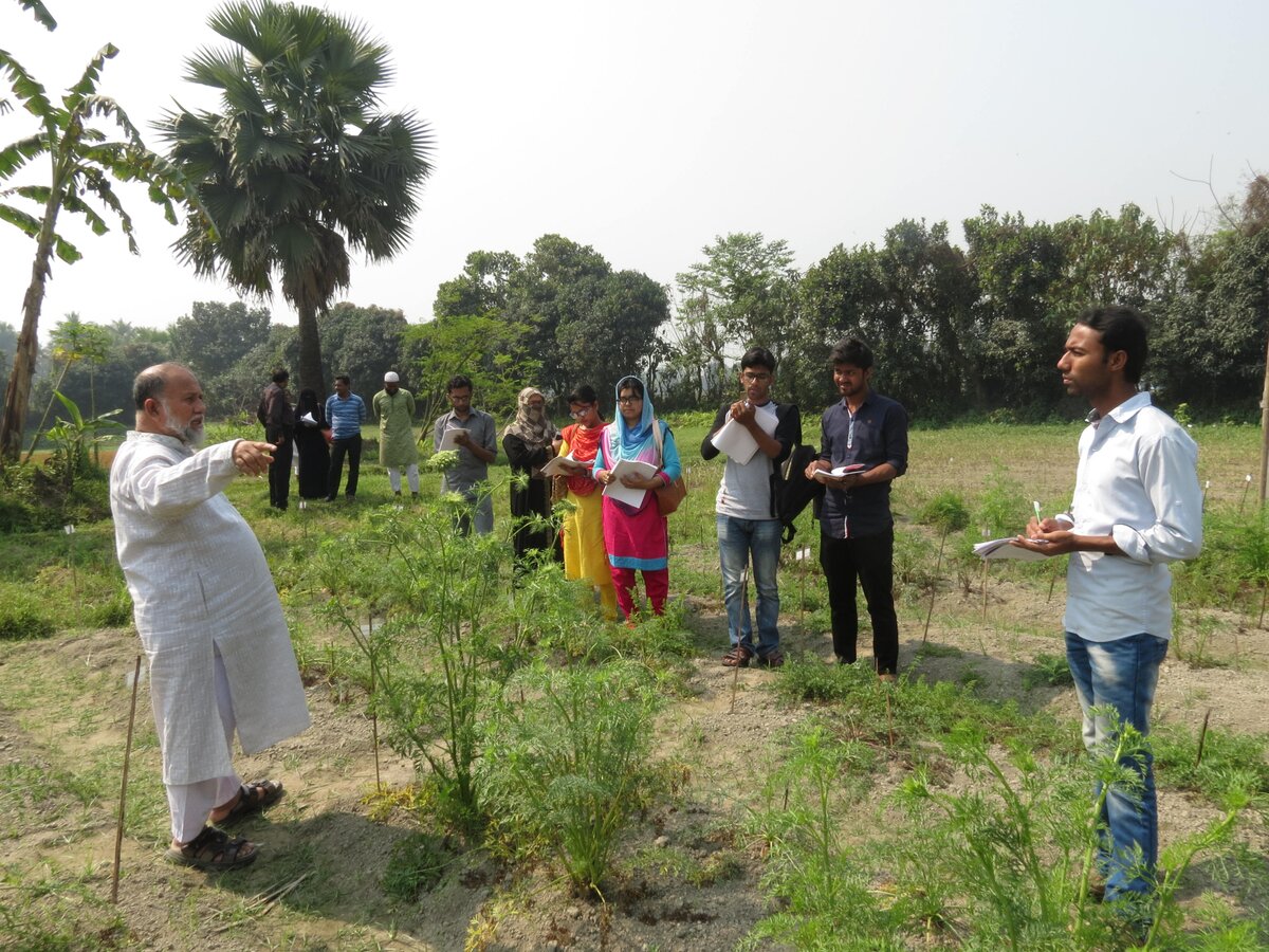 Professor Rahim standing in a carrot field giving a lesson to graduate students who are taking notes. 