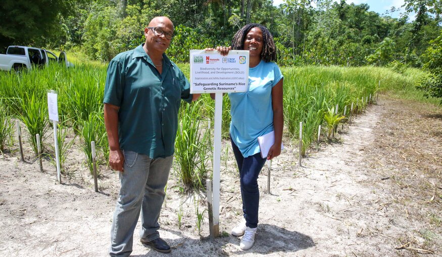 Saving Every Grain of Rice: A Q&A with Jerry Tjoe Awie