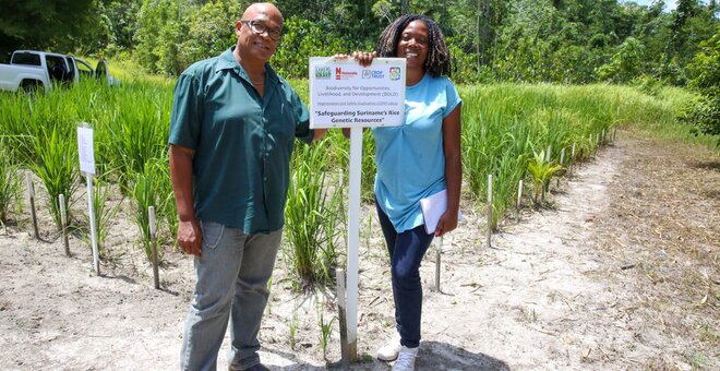 Saving Every Grain of Rice: A Q&A with Jerry Tjoe Awie