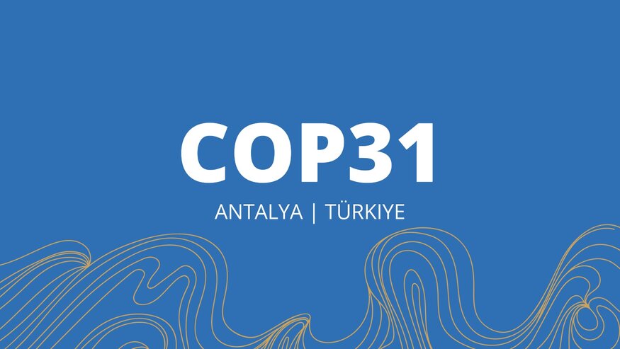 UNFCCC COP31