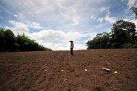Farmer standing in a field of soil