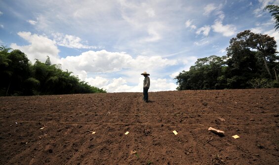 The Establishment and the Constitution of the Crop Trust