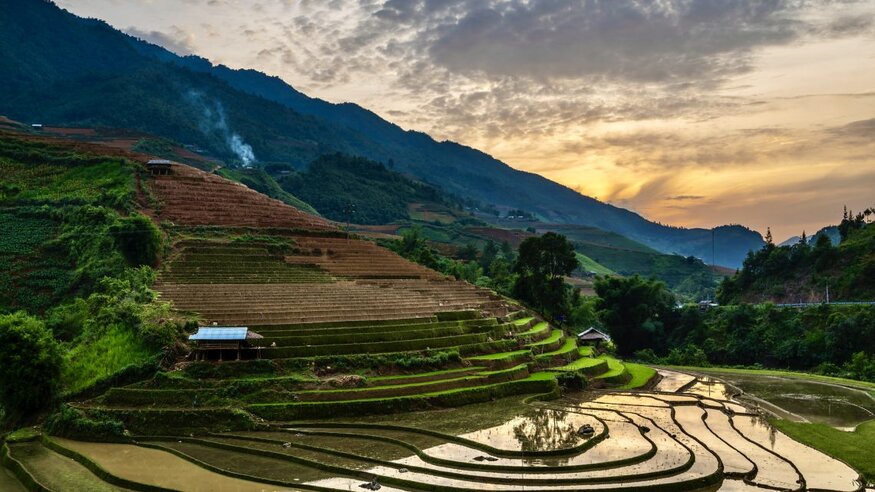 Rice Terrace Landscape, Vietnam.