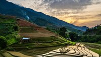 Rice Terrace Landscape, Vietnam. 
