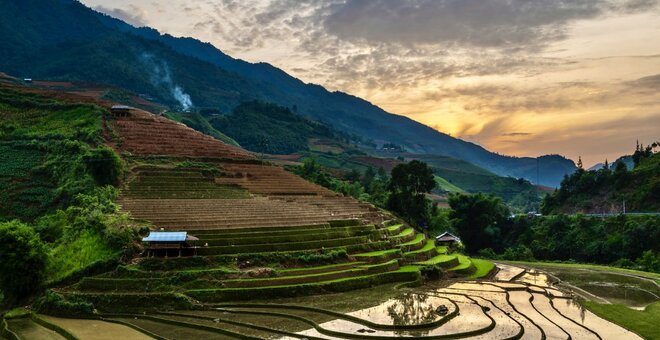 Rice Terrace Landscape, Vietnam.