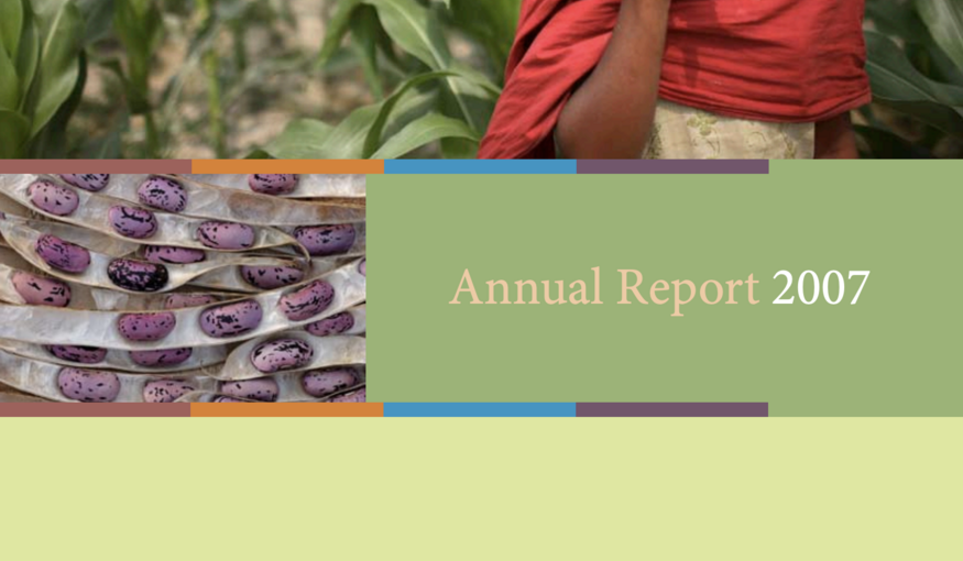 2007 annual report cover