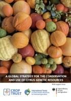 A Global Strategy for the Conservation and Use of Citrus Genetic Resources