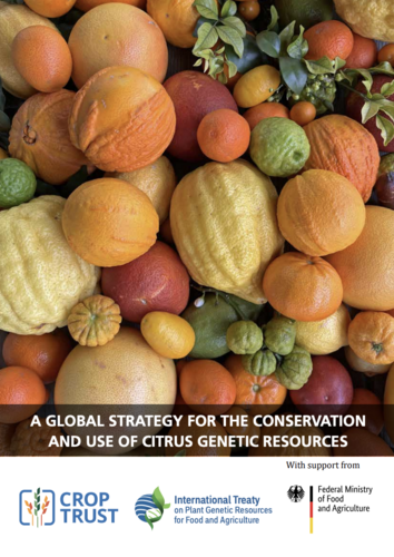 A Global Strategy for the Conservation and Use of Citrus Genetic Resources