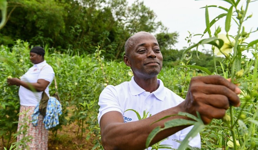 Taking Diversity out of the Genebank and into Farmers’ Fields in Ghana