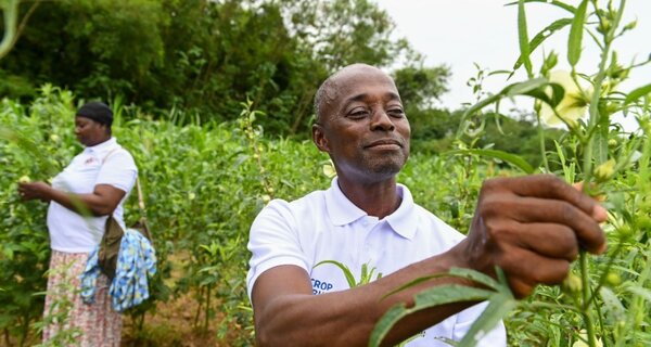 Taking Diversity out of the Genebank and into Farmers’ Fields in Ghana
