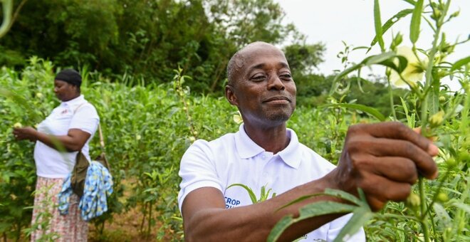 Taking Diversity out of the Genebank and into Farmers’ Fields in Ghana