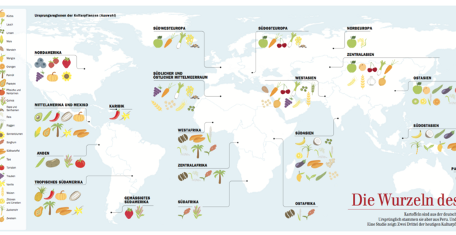 The Roots of Eating