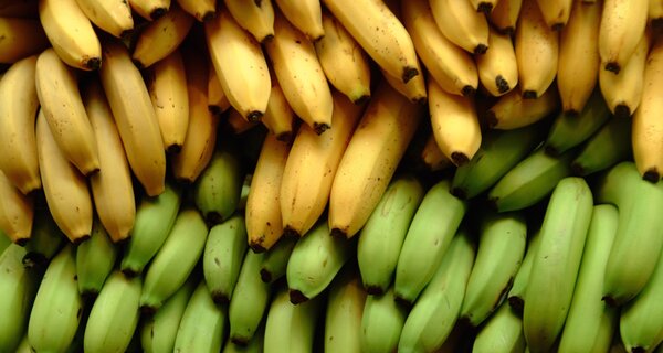 Pile of yellow and green bananas