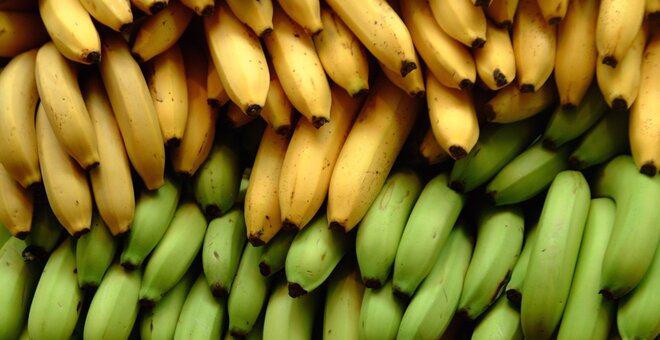 Pile of yellow and green bananas